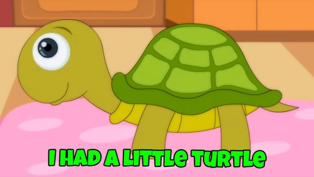 hooplakidz-i-had-a-little-turtle-lyrics